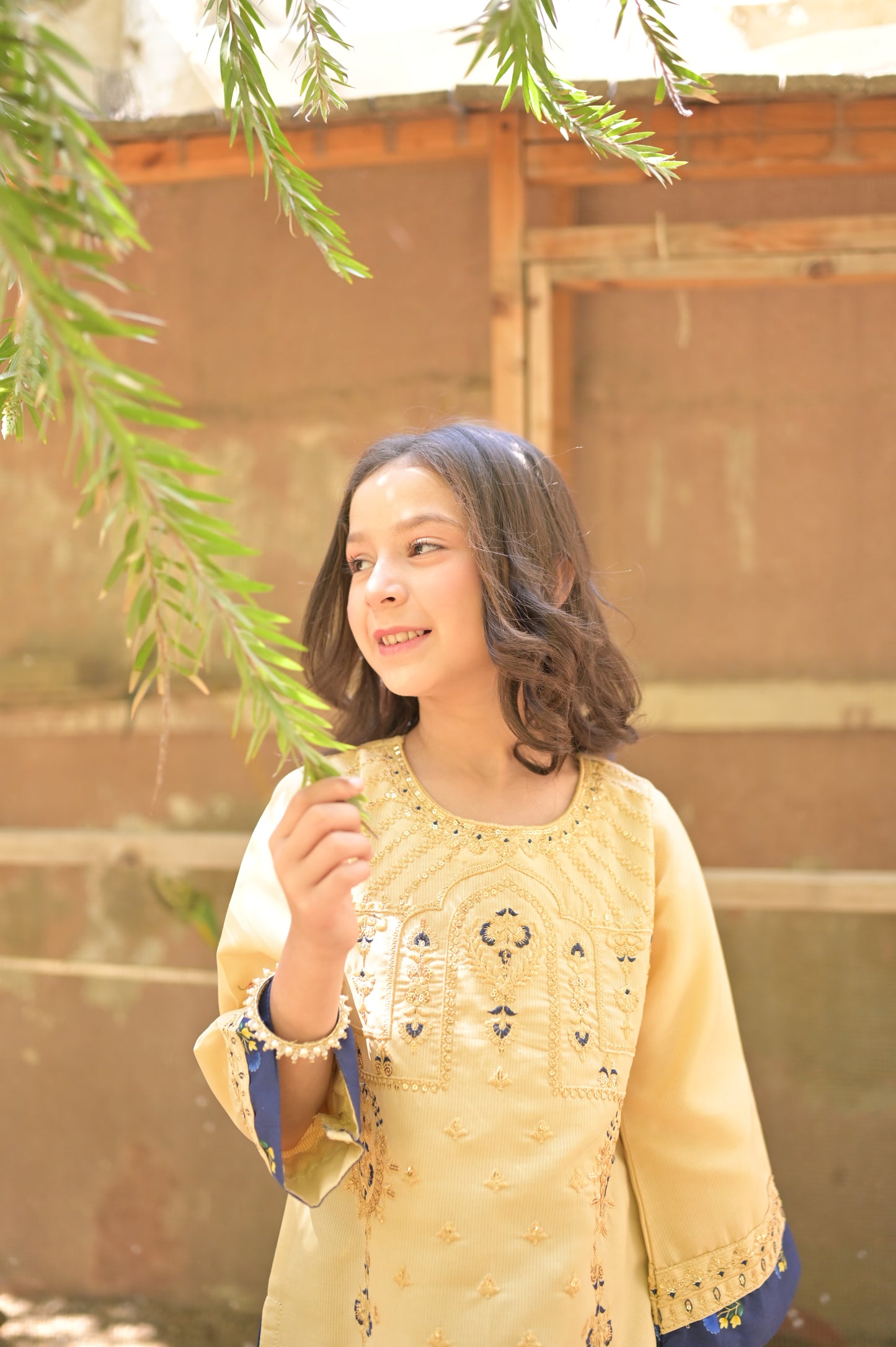 Plain Rottery Fabric with printed Lawn 9