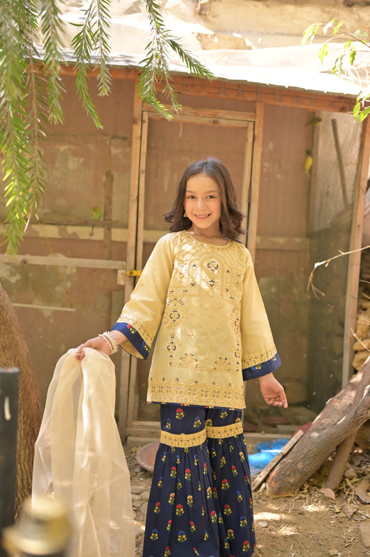 Plain Rottery Fabric with printed Lawn 9