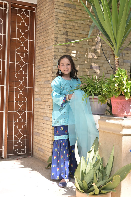 Plain Rottery Fabric with printed Lawn  10
