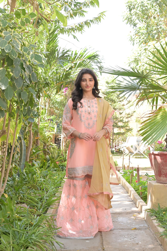Dyed Chiffon 1