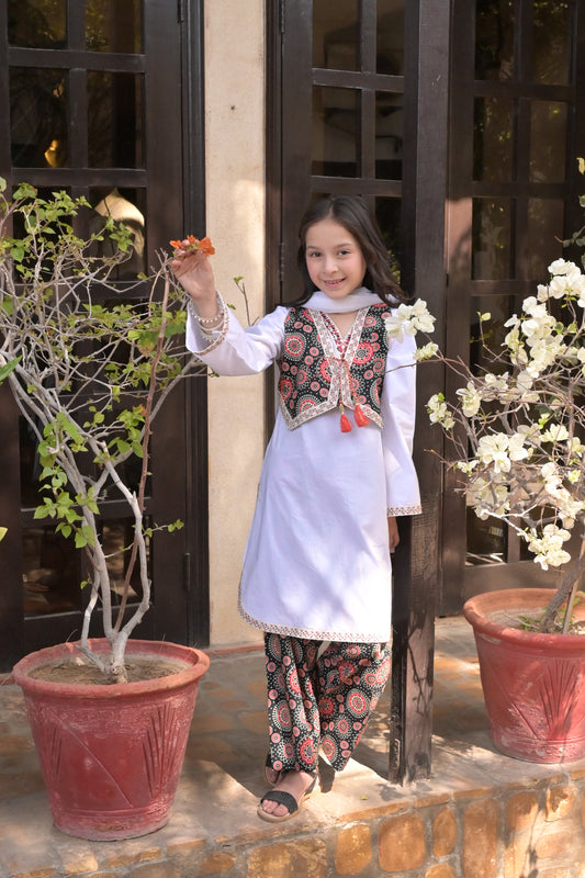 Plain Rottery with printed Lawn 12