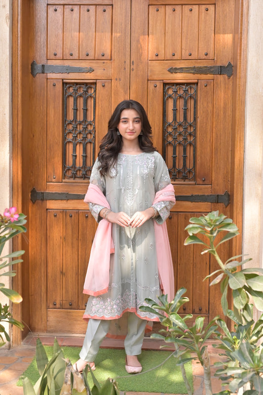 LC-A-403 | Formal 3 Pcs suit | Pistachio| Basic [Weightless] Chiffon