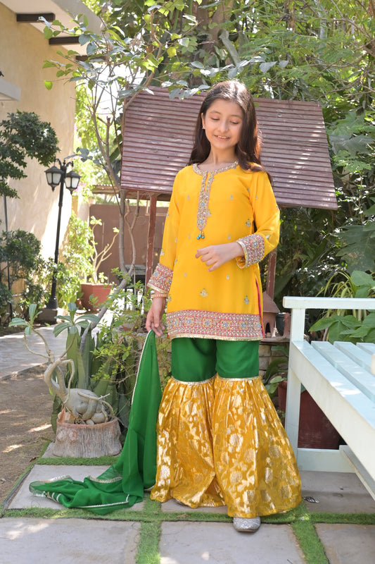 LC-A-511 | Yellow & Green | Formal 3 Pcs suit | Crinkle Chiffon With Lauraksi Fabric